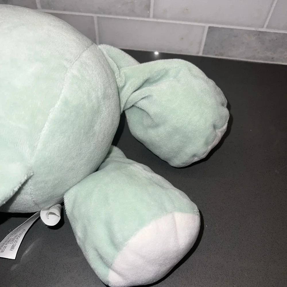 Kelly Baby Green Dinosaur Soft Stuffed Animal Rattles  Kellytoy 18